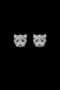 Tiger Earrings